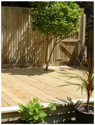 Deck w-Tree thru